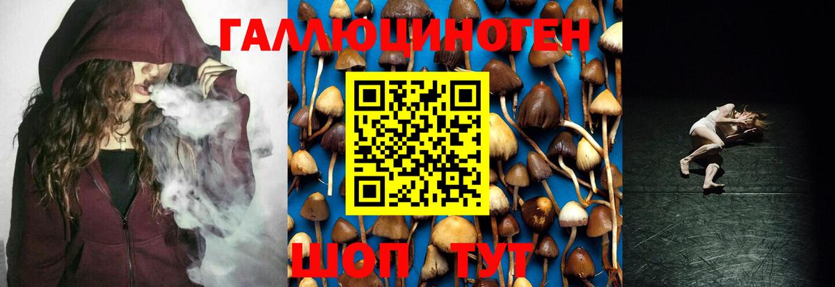 Галлюциногенные грибы MAGIC MUSHROOMS Туапсе
